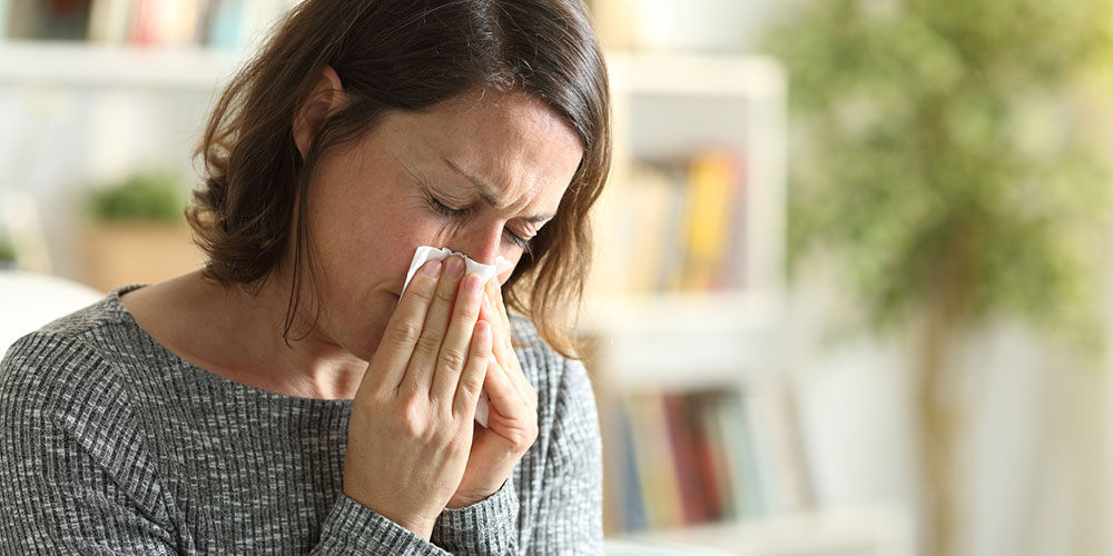 Conectando Pacientes Inmunoterapia Para Tratar La Alergia A Los Caros